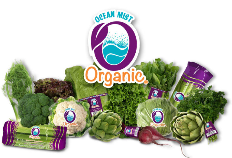 Branding and label design for Ocean Mist's new organic line of prduce