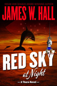 Red Sky book cover design