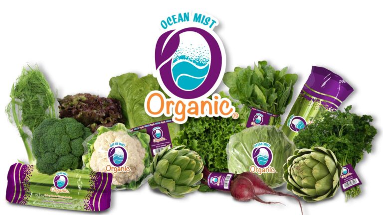 Branding and label design for Ocean Mist's new organic line of produce