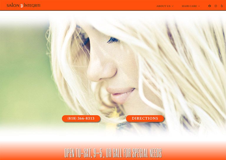 Salon Integriti website screen shot